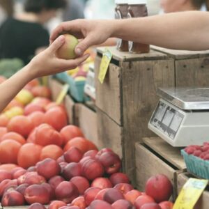 Personal Shopping Guidance in the Food Store