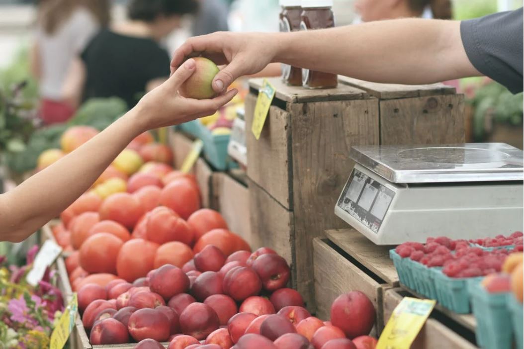 Personal Shopping Guidance in the Food Store